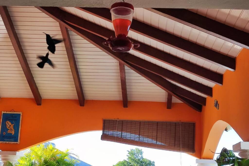 Villa Anolis, Sainte Luce, Piscine, Vue Mer, 4* Buitenkant foto